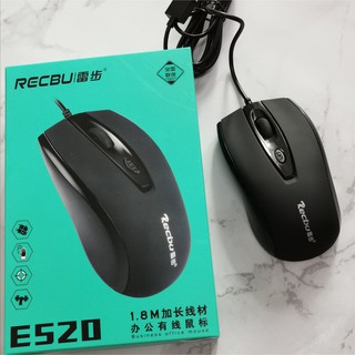 Recbu (mouse ) E520 image